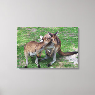 Skippy Canvastryck