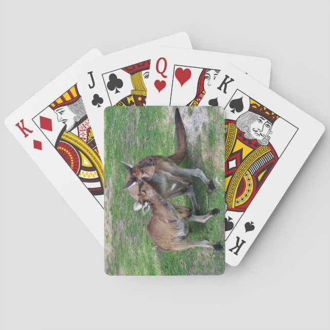 Skippy Casinokort (Baksidan)