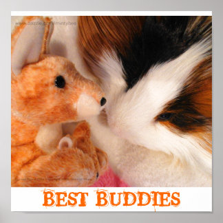 Skippy Gris & Roo Stuffy Poster