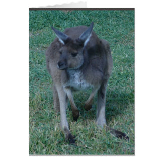 Skippy kangaroo Card Hälsningskort