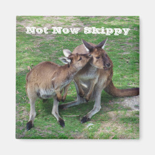 Skippy Magnet