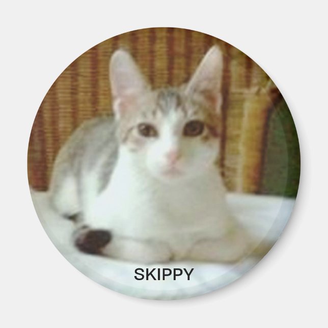 SKIPPY MAGNET (Framsidan)