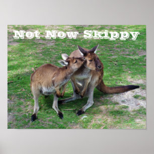 Skippy Poster