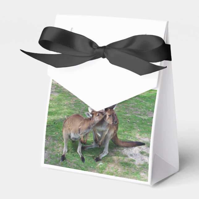 Skippy Presentaskar (Framsidan Sidan)