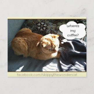 Skippy, var är mitt kaffe? vykort