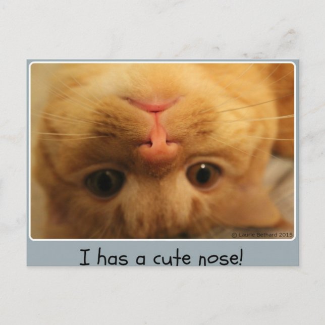 Skippy's Little Nose Vykort (Framsida)