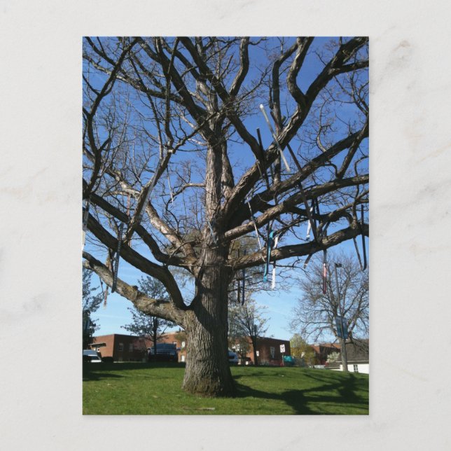 Skis i träd vykort (Framsida)