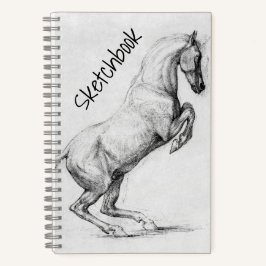 Skischbook 