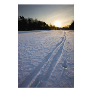 Skispår på Willowbrook Farm Preserve i Fototryck