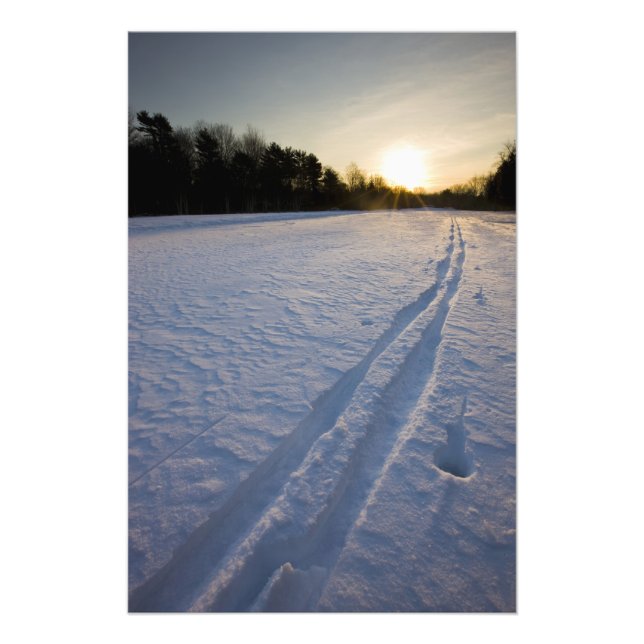 Skispår på Willowbrook Farm Preserve i Fototryck (Framsidan)