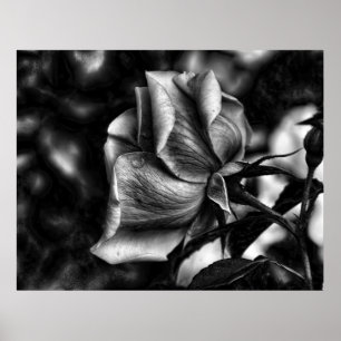 skiss av ro i svartvitt poster