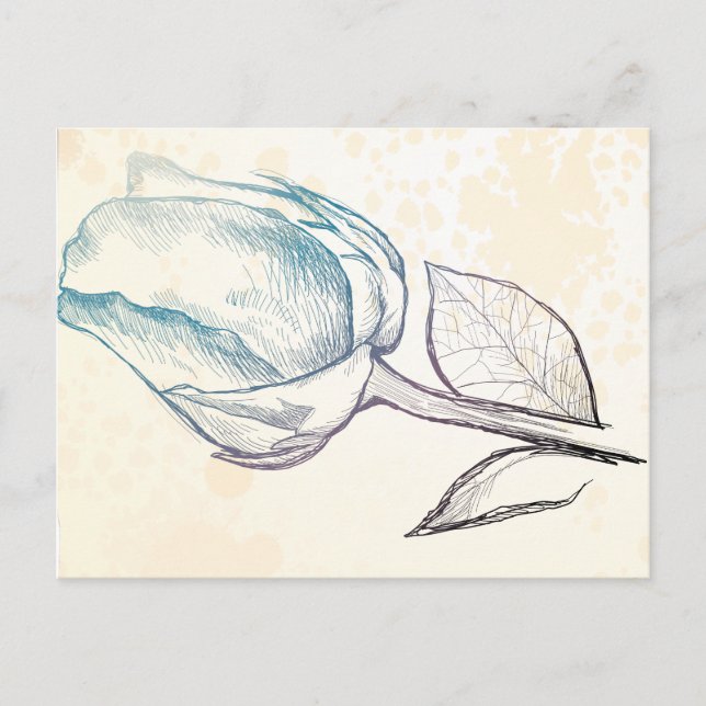 Skiss av ro, vykort (Framsida)