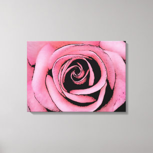 Skiss av Rosa ros Canvastryck