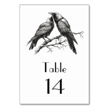 Skiss kråka älskare