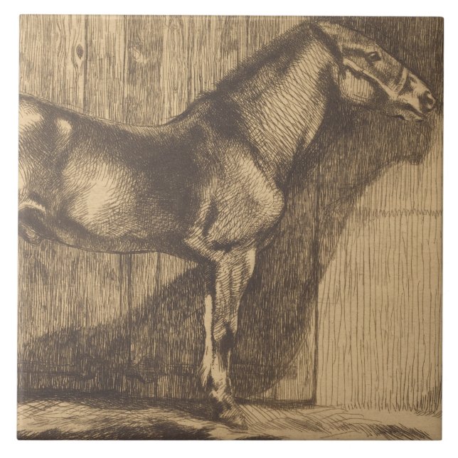 Skiss över en pony (av Paul-Albert Besnard) Kakelplatta (Framsidan)