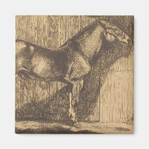 Skiss över en pony (av Paul-Albert Besnard)