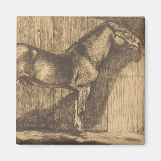 Skiss över en pony (av Paul-Albert Besnard) Magnet (Framsidan)