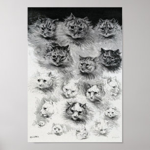 Skisser av katten, Louis Wain Poster