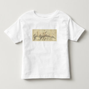 Skissera kartan av Duluth och förorter T Shirt