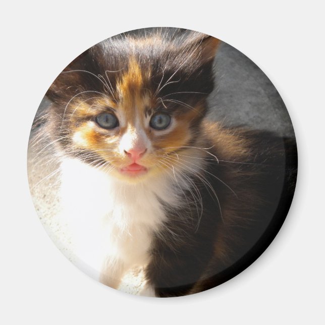 Skittles Magnet (Framsidan)