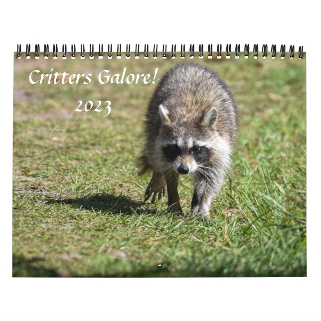 Skittrarna Galore! Kalender (Omslag)