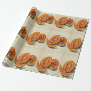 Skivad cantaloupemelonillustration presentpapper