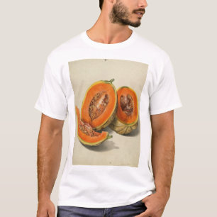 Skivad cantaloupemelonillustration t shirt