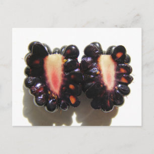 Skivat Blackberry ~ vykort