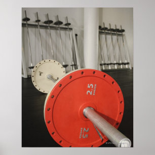 Skivstång i idrottshall poster