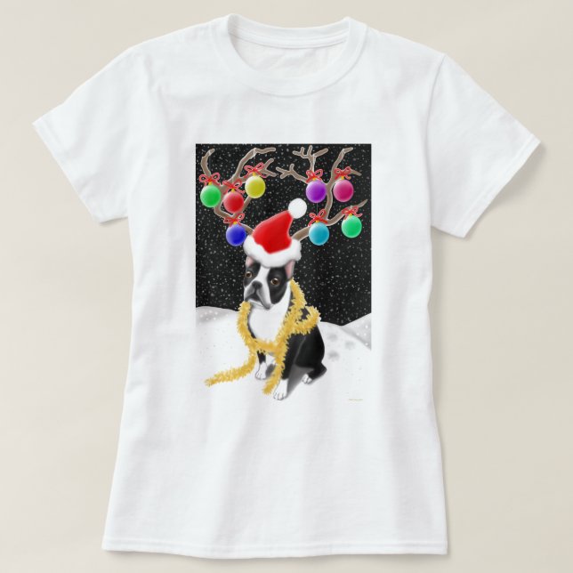 Skjorta för Babydoll för damer för Boston Tee (Design framsida)