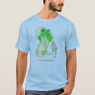 Skjorta för CYCADPodocarpustryck T-shirt