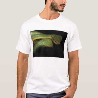 Skjorta för grophuggorm T T-shirt