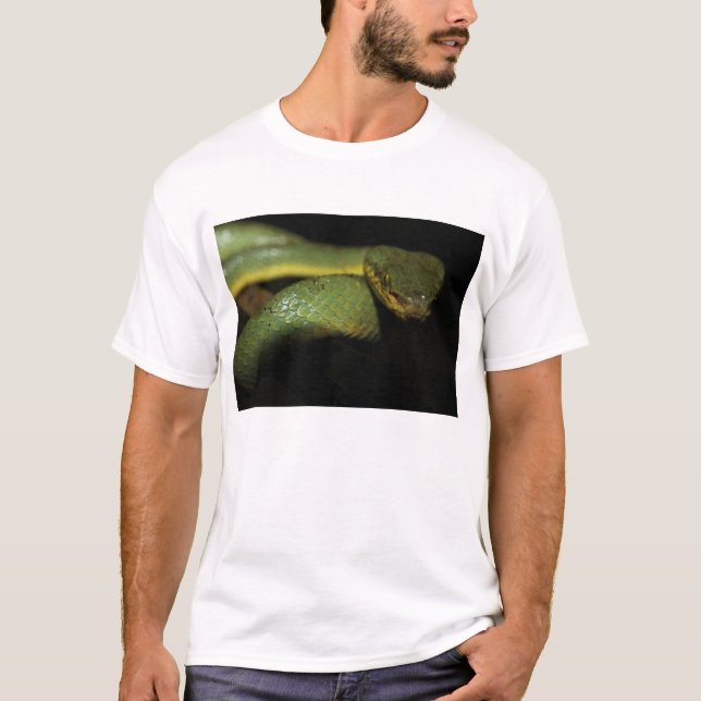 Skjorta för grophuggorm T Tee (Framsida)