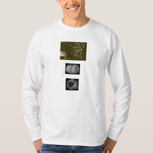 Skjorta för långhals T Tee Shirt (Framsida)
