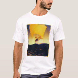 Skjorta: Piratfrakt - vid Maxfield Parrish Tröja