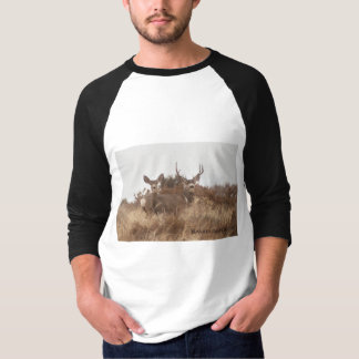 SKJORTOR FÖR MULEHJORT T-SHIRT