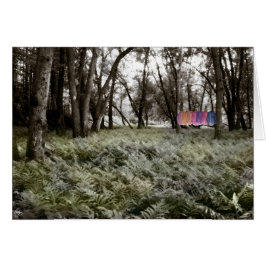 Skjortor i ett skogskort i flodslätten hälsningskort