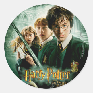 Skjuten Harry Potter Ron Hermione Dobbygrupp Runt Klistermärke