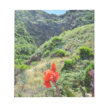 Skjuten indier (Canna den indica purpureaen)