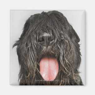 Skjuten studio magnet