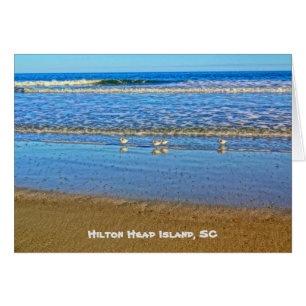 Skjutfåglar i Surfan! Hilton Head Island SC OBS Kort