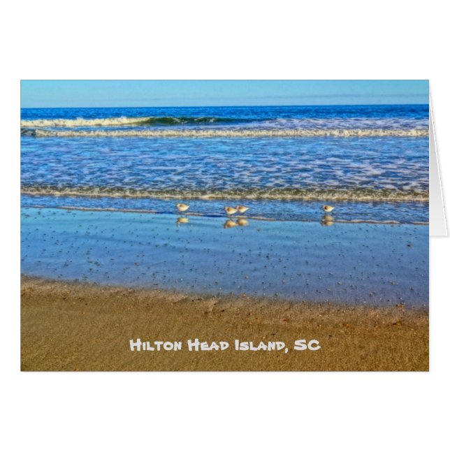 Skjutfåglar i Surfan! Hilton Head Island SC OBS Kort (Framsidan Horizontal)