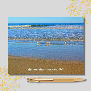 Skjutfåglar i Surfan! Hilton Head Island SC Vykort