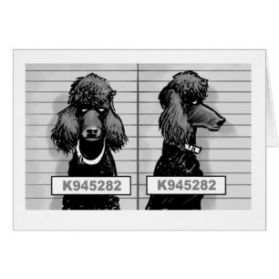 Skjutit kort för hund mugg