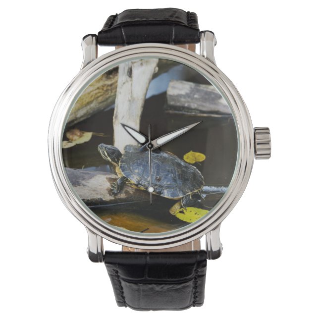 Skjutsköldpadda i vilden armbandsur (Framsida)