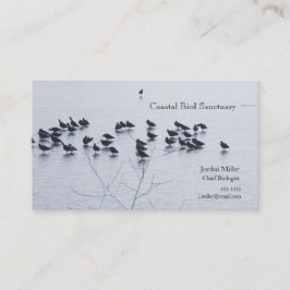Skofåglar på sjö visitkort