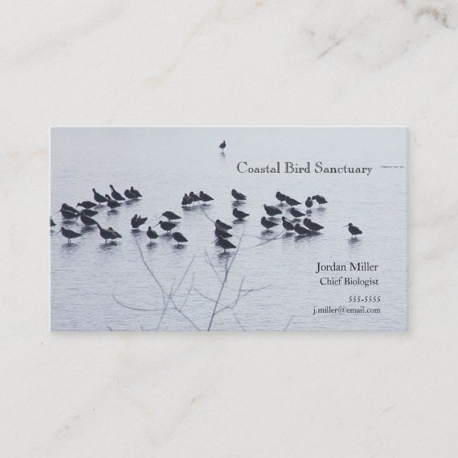 Skofåglar på sjö visitkort (Framsida)