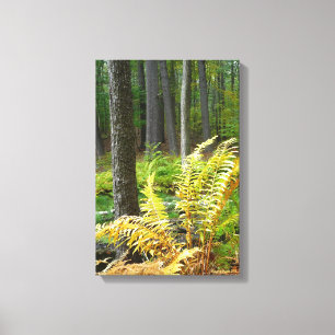 Skog (12 x 18) canvastryck