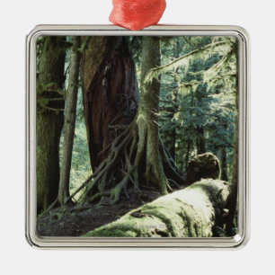 Skog av domkyrkadungen i British Columbia Julgransprydnad Metall