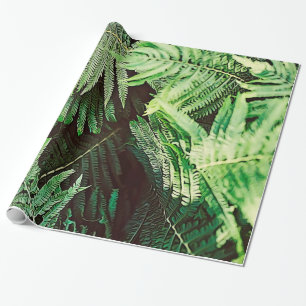 Skog av gröna Ferns Presentpapper